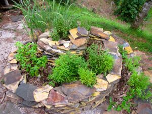 Spiral herb garden