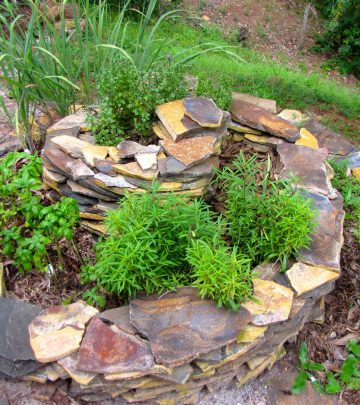 Spiral herb garden