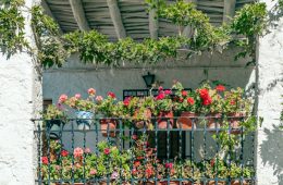 Balcony filled with flowers, practising vertical gardening