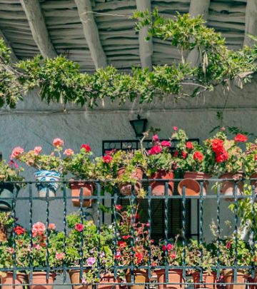 Balcony filled with flowers, practising vertical gardening