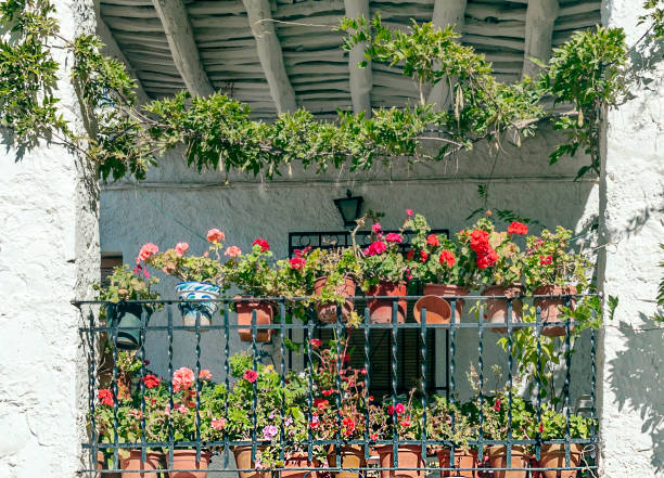 Balcony filled with flowers, practising vertical gardening