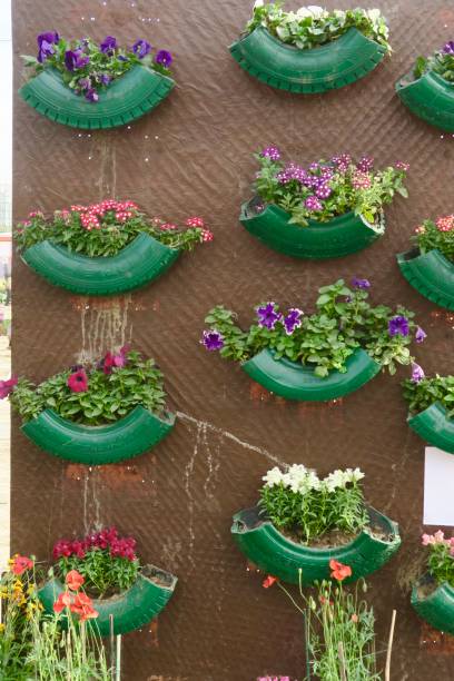 Vertical garden saving space garden design concept reusing rubber car tyre. 