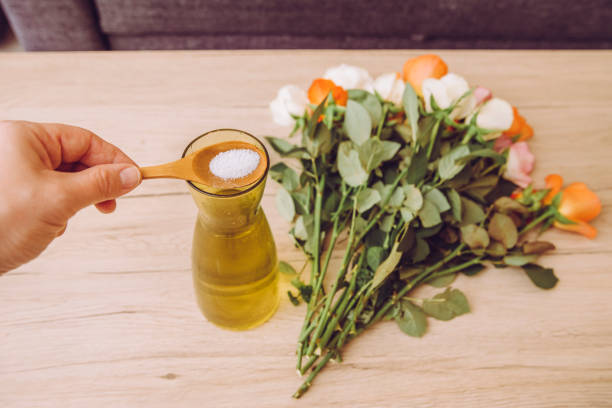 Person adding white flower food powder inside cut flower vase so cut flowers last longer fresh.