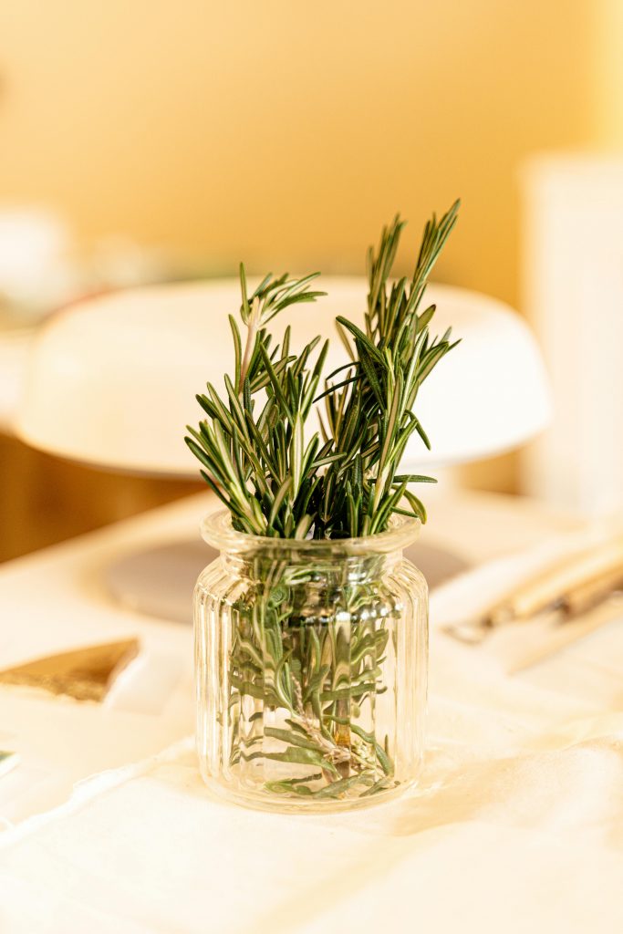 The benefits of growing Rosemary