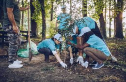 Multi-ethnic group of people, planting a tree together in public park, saving the environment,