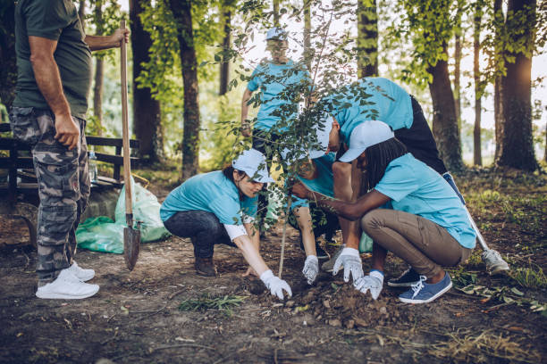 Multi-ethnic group of people, planting a tree together in public park, saving the environment,