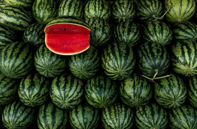 Watermelon varieties