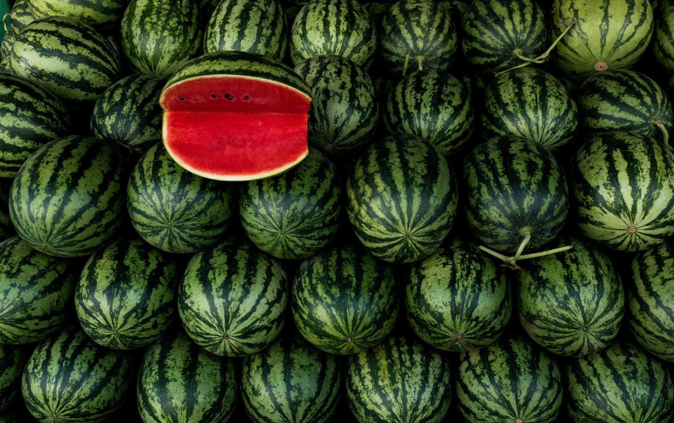 Watermelon varieties that grow best in South Africa SA Garden and Home