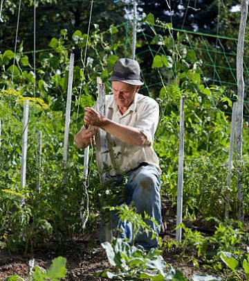 Peasant with hat working in vegetable garden