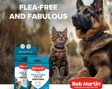 Flea-ing the scene: Tips on defleaing your pet by Bob Martin