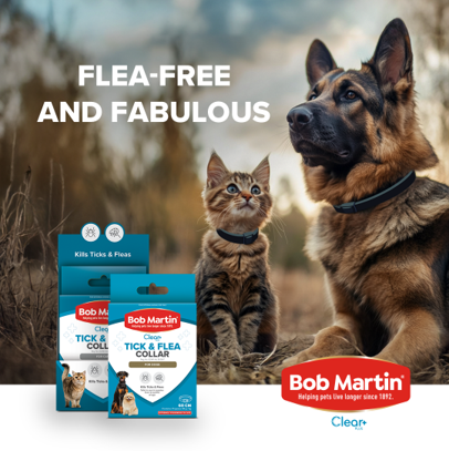 Flea-ing the scene: Tips on defleaing your pet by Bob Martin