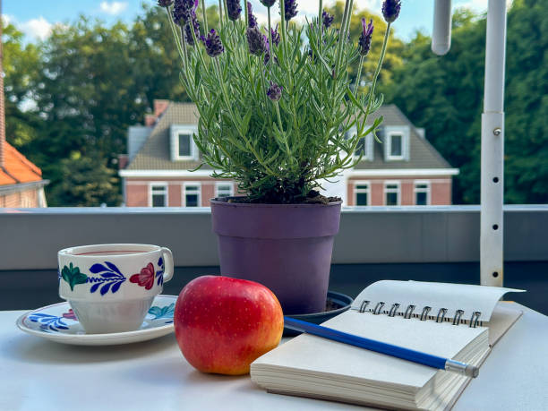 Cozy place to read and relax on the summer balcony with your lavender houseplant 