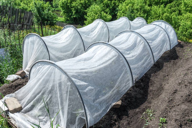 A greenhouse for seedlings, made from agro fibre, has been installed in the garden.