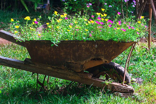 Old wheeel barrow with flowers