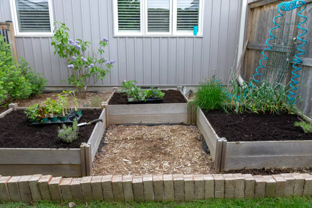 This small urban backyard garden contains square raised planting beds for growing vegetables and herbs throughout the summer. Brick edging is used to keep grass out, and mulch helps keep weeds down.