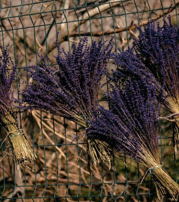 dry lavender