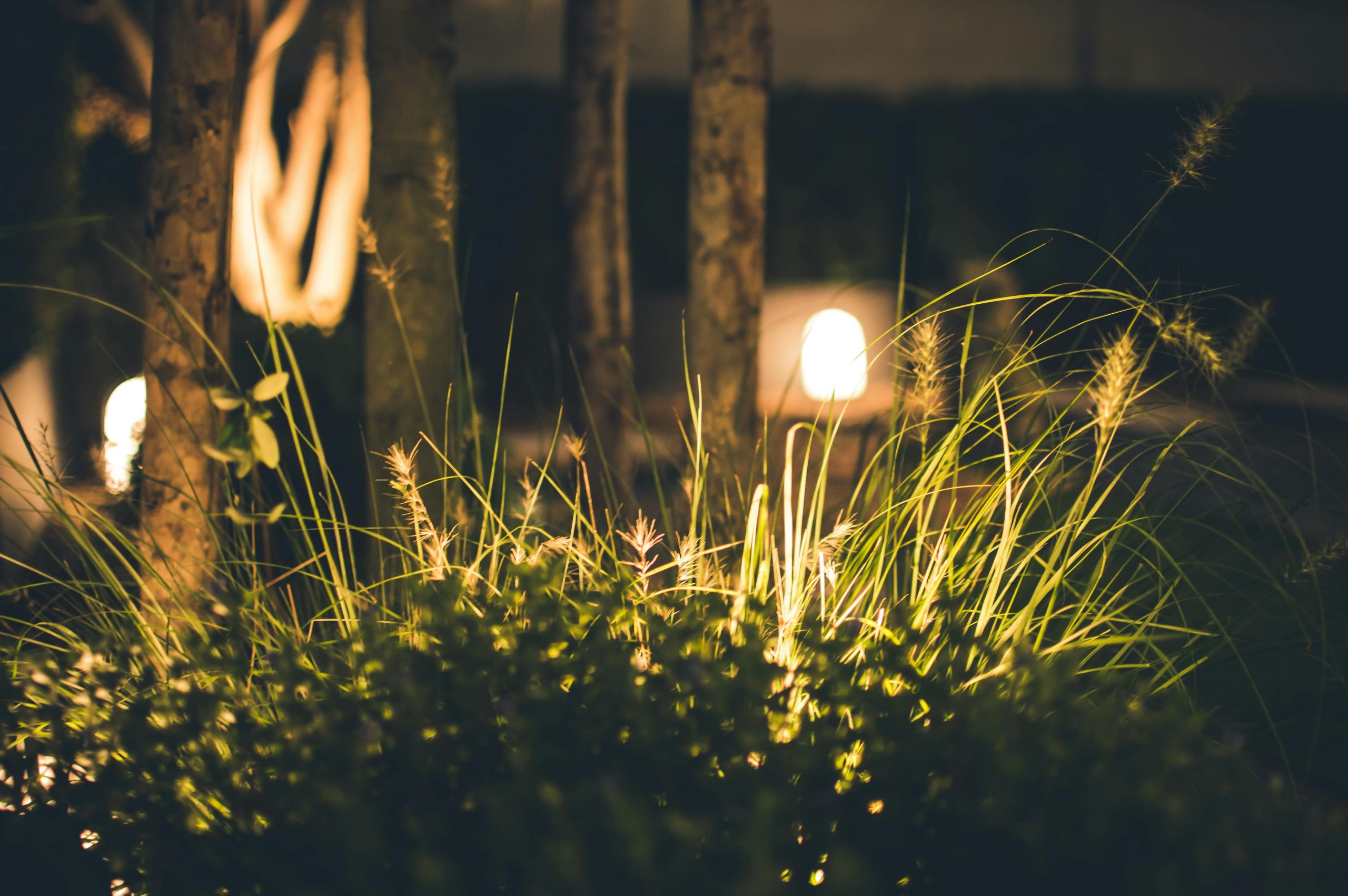 garden lights