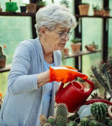 Beautiful senior woman taking care of her potted cactuses in greenhouse in backyard with love and watering plants. Sunlight comes through the window. She wears casual clothes and she looks happy with her hobby