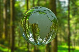 3D illustration - Planet Earth shaped like a crystal ball in a green forest.