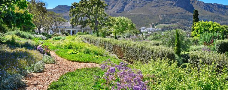 Franschhoek Open Gardens Festival