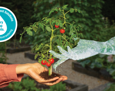 Water-saving tips for a sustainable garden