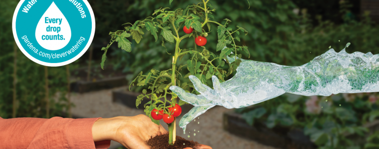 Water-saving tips for a sustainable garden