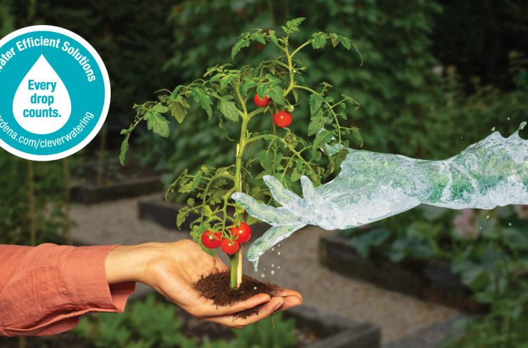 Water-saving tips for a sustainable garden