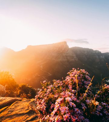 5 Hiking trails to tackle in Cape Town this summer