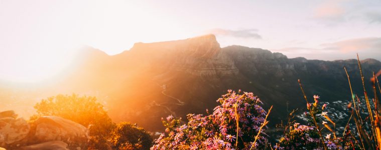 5 Hiking trails to tackle in Cape Town this summer