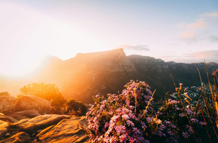 5 Hiking trails to tackle in Cape Town this summer