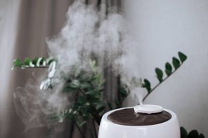 Steam from the air humidifier during