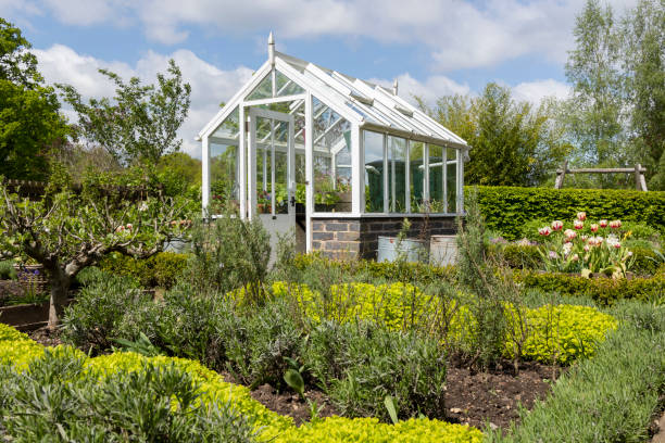 A garden plot with seedbeds and a glass greenhouse in the centre of kitchen garden. A suburban or rustic backyard for gardening. A warm summer's day