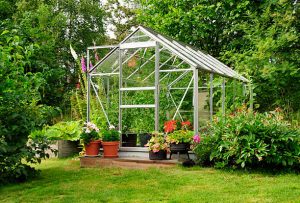 A green house full of flowers and plants