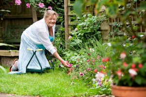 A senior lady with limited mobility makes use of a special stool that enables her to kneel and tend to her flowers.