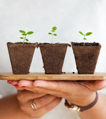 Soil blocking transplanting technique