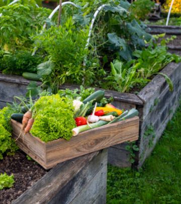 Raw organic farmers box on domestic garden.