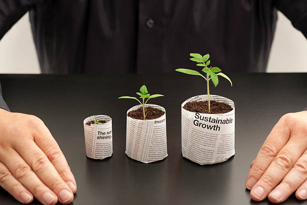 Three seedlings growing in plant pots made from newspaper