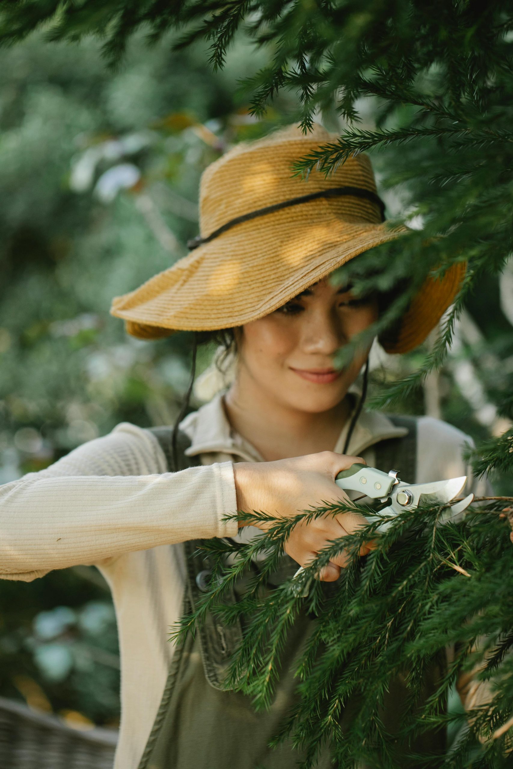 Gardening prunes