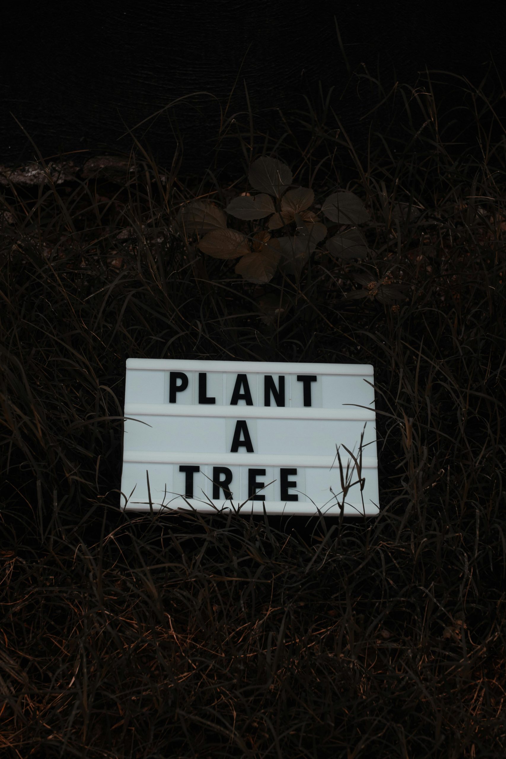 Plant a tree sign to win against climate change 