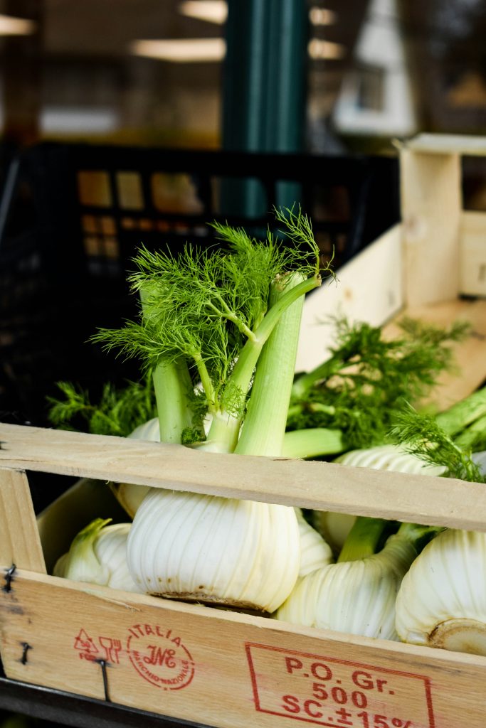 The difference between dill and fennel