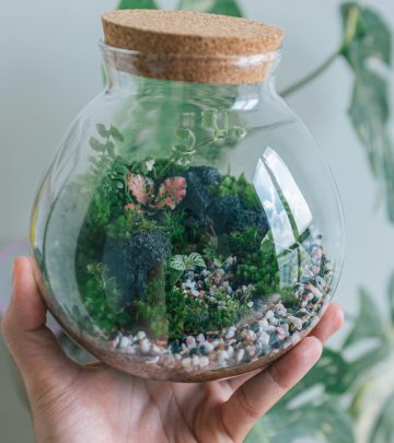 Terrarium ecosystem