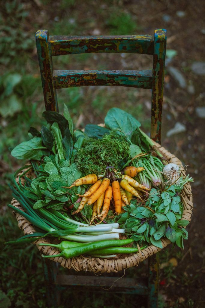 Food forest